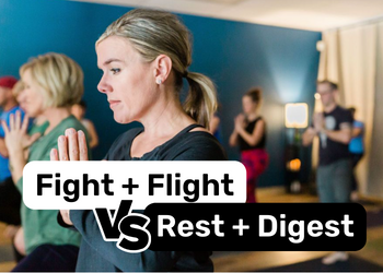Unraveling the Vagus Nerve: Our Body’s Battle between Fight + Flight & Rest + Digest